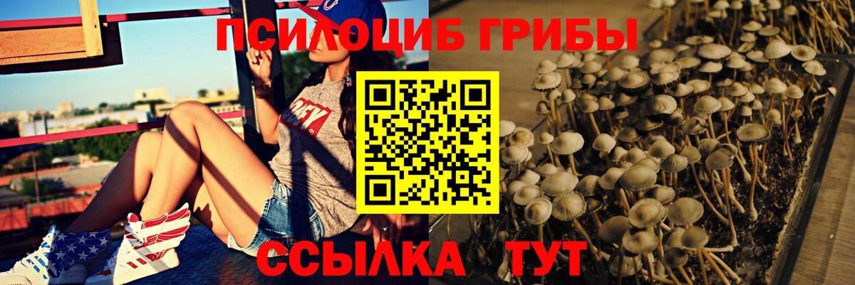 Галлюциногенные грибы Psilocybe  Вход с VPN  Белебей 