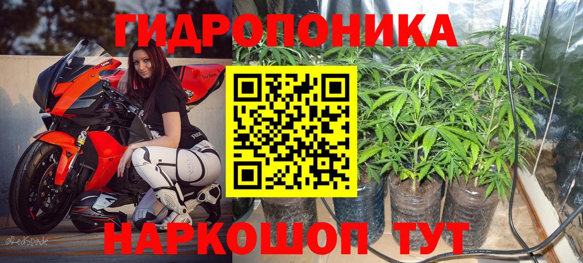 Шишки марихуана SATIVA & INDICA  Бошки Шишки гибрид  Белебей  МАРИХУАНА планчик  Вход с VPN 